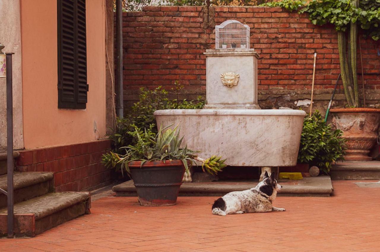 Il Villino Bed & Breakfast Lucca Exterior photo